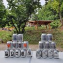 용인자연숲캠핑장 이미지