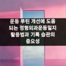 운동 루틴 개선에 도움 되는 정형외과운동일지 활용법과 기록 습관의 중요성