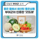 좋은들