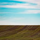 상용농장 이미지