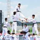 연천태권도 이미지