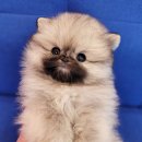 난곡동-70 이미지