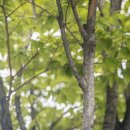 중앙보청기 이미지