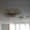 소유공인중개사사무소 이미지