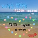 [제주한달살이] 출발 전 마음가짐 / 한달살이 예산 / 제주살이 꿀팁 / 숙소정보 / 찐후기