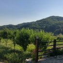 별맞이민박 이미지