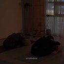 아유르요가 | 경기도 광명시 아유르요가, 연락처, 후기, 영업시간