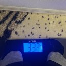 호텔 라벨라 | 베트남 호치민 라벨라 사이공 호텔 방문 후기