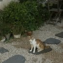 호호하우스 | [창원] 호호하우스 베이커리 솔직 후기 !