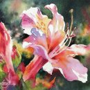 컬러풀 수채화 이미지