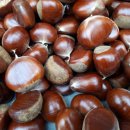 정이 태양광발전소 이미지