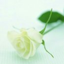 중앙농협 무거동 이미지