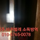 로취사이언스