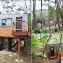 트리하우스 Daum카페
