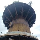 목천동 소나무 거리 조성공사 | 창원 대상공원 빅트리 전망대 임시개방 | 최단거리로 올라가는 방법