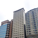 더 리센츠 이미지