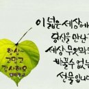 하마넷채널 Daum카페