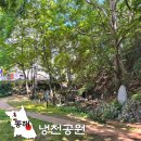 동해 냉천공원 찬물내기 강원도 복수초 자생지