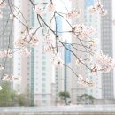 101성인PC 이미지