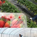 경호농장 이미지