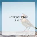 냥이친구 이미지