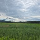 [20]코리아둘레길 2차 해파랑길 32~33코스, 덕산해변~추암해변~동해역(29km)- 2025.7.1. 이미지