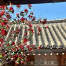 오방환영입구 안내 | [전주] 전주 한옥마을카페 과일 빙수와 제철 과일 디저트 맛집 추천 -카페 이르리