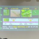 표선면사무소 이미지