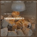 큰동산목장 | 가평 아이와 함께 가볼만한 곳 : 가평양떼목장