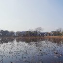 강주연못 이미지