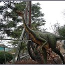 덕소자연사박물관 이미지