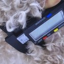 에피소드 동물병원 | 🐶 견생 10년차 가슴 멍울 발견… 강아지 지방종일까?강아지 세침검사 비용 대구 에피소드 병원