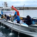 저동 신흥마을 이미지