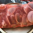 마시안갯벌체험장 이미지