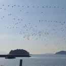 남포소공원 이미지