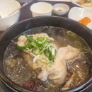 성서제1능이버섯 능이백숙 | 대구 달서구 이곡동맛집 성서 제1능이버섯 능이백숙 삼계탕