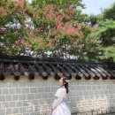 라라빈관 이미지
