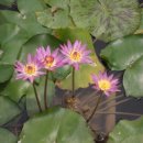 도천농장 이미지