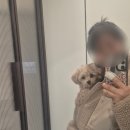 더벤티방이