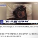 [S2O KOREA 과천/ 송크란2024 뮤직 페스티벌] 7/13 토요일 1Day 후기
