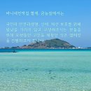 바니네민박집 이미지