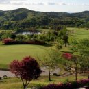 (주)시그너스컨트리클럽 이미지