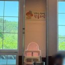 대전 가족모임 식당 추천 | 보문산 아쿠아리움 맛집 | 버섯 샤브샤브 '유씨네부엌' 솔직 후기(+ 주차)