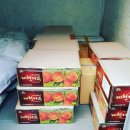 봉자농장 이미지