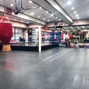 브리드 복싱GYM 이미지
