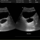 우비뇨기과의원 이미지