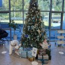 중앙동278 이미지