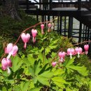 밭두렁농원 이미지