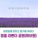 유원정비센타 이미지