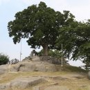 한일은행 이미지